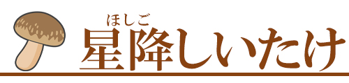 【有機栽培】 星降しいたけ 大分県産 原木栽培・林内栽培にこだわる椎茸農家　【星降しいたけファーム】