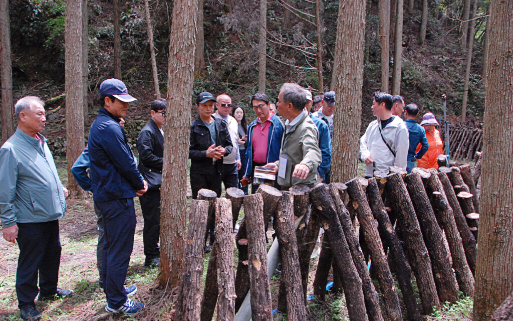 星降しいたけファーム代表の小野幹雄氏が原木を前に韓国の視察団へしいたけ栽培について説明している様子