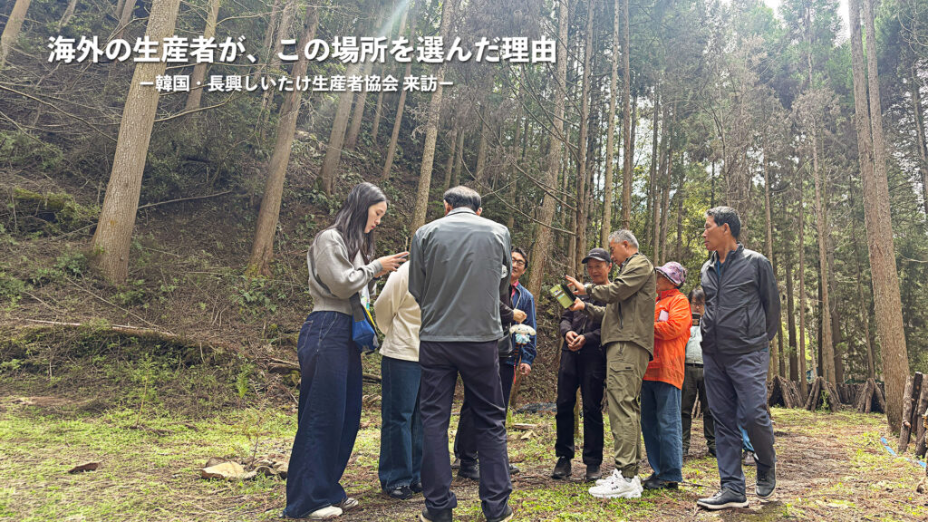 海外のしいたけ生産者が視察に訪れた大分県臼杵市野津町の星降しいたけファームの森林環境